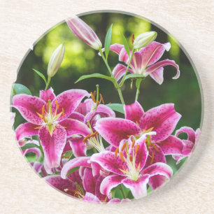 Stargazer Lilies Sandstone Coaster