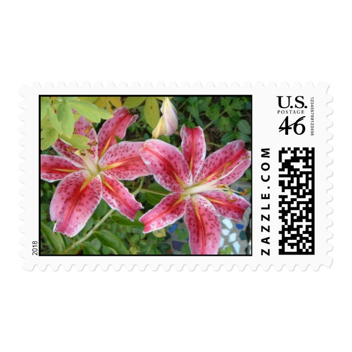 Stargazer Lilies Stamps