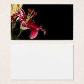 Stargazer Lily (Front & Back)