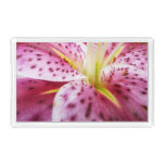 Stargazer Lily Bright Magenta Floral Acrylic Tray