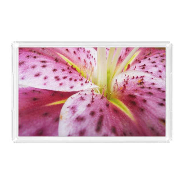 Stargazer Lily Bright Magenta Floral Acrylic Tray (Front)
