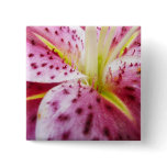 Stargazer Lily Bright Magenta Floral Button