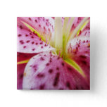 Stargazer Lily Bright Magenta Floral Button