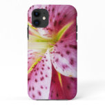 Stargazer Lily Bright Magenta Floral iPhone 11 Case