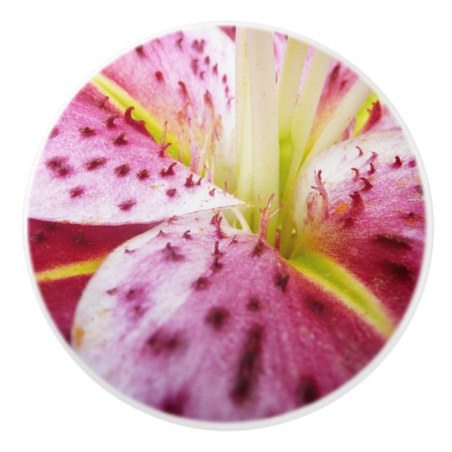 Stargazer Lily Bright Magenta Floral Ceramic Knob (Front)