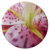 Stargazer Lily Bright Magenta Floral Chocolate Dipped Oreo (Front)