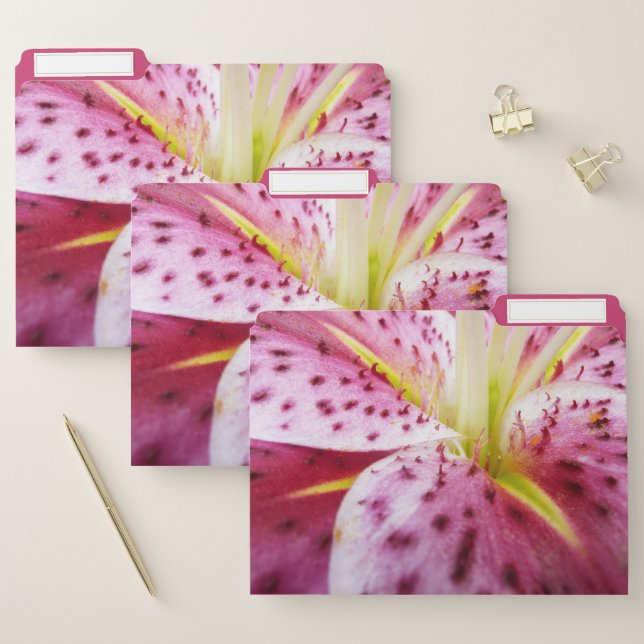 Stargazer Lily Bright Magenta Floral File Folder (Set)