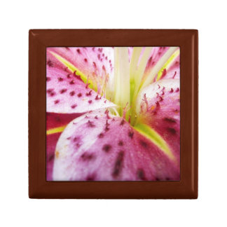 Stargazer Lily Bright Magenta Floral Gift Box