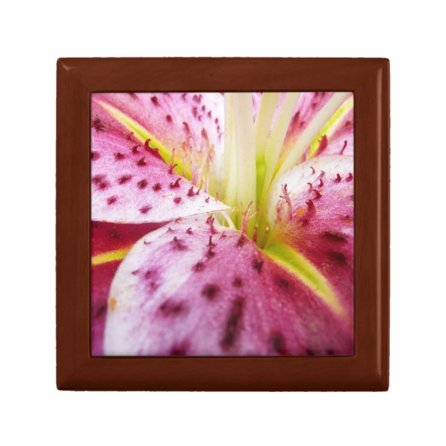 Stargazer Lily Bright Magenta Floral Gift Box (Front)