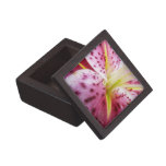 Stargazer Lily Bright Magenta Floral Gift Box