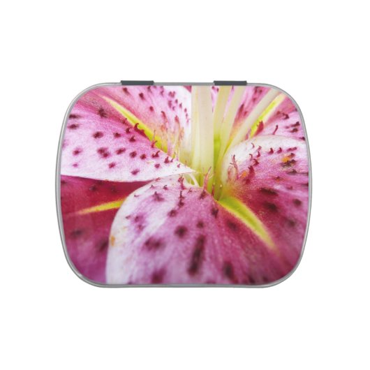 Stargazer Lily Bright Magenta Floral Jelly Belly Candy Tin (Top)