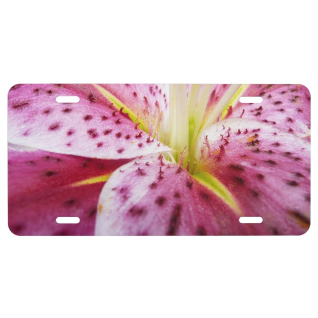 Stargazer Lily Bright Magenta Floral License Plate (Front)