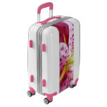 Stargazer Lily Bright Magenta Floral Luggage