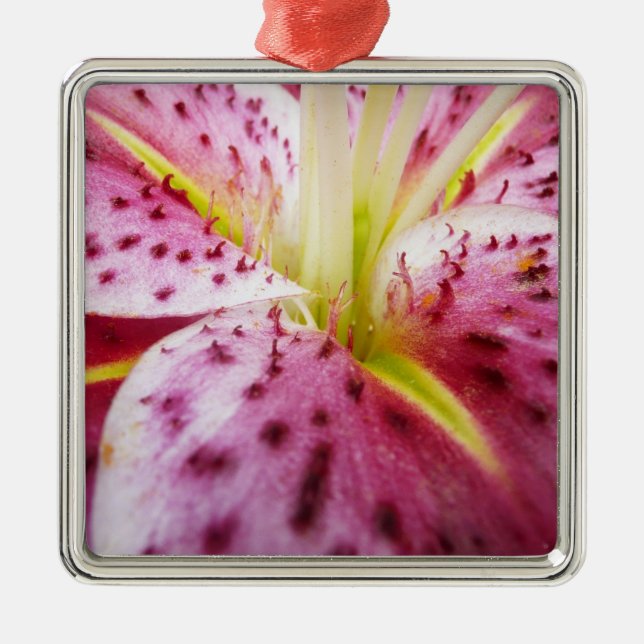 Stargazer Lily Bright Magenta Floral Metal Ornament (Front)