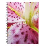 Stargazer Lily Bright Magenta Floral Notebook