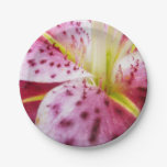 Stargazer Lily Bright Magenta Floral Paper Plate