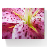 Stargazer Lily Bright Magenta Floral Paperweight