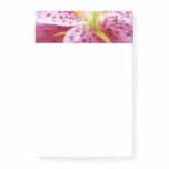 Stargazer Lily Bright Magenta Floral Post-it Notes