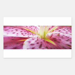Stargazer Lily Bright Magenta Floral Rectangular Sticker