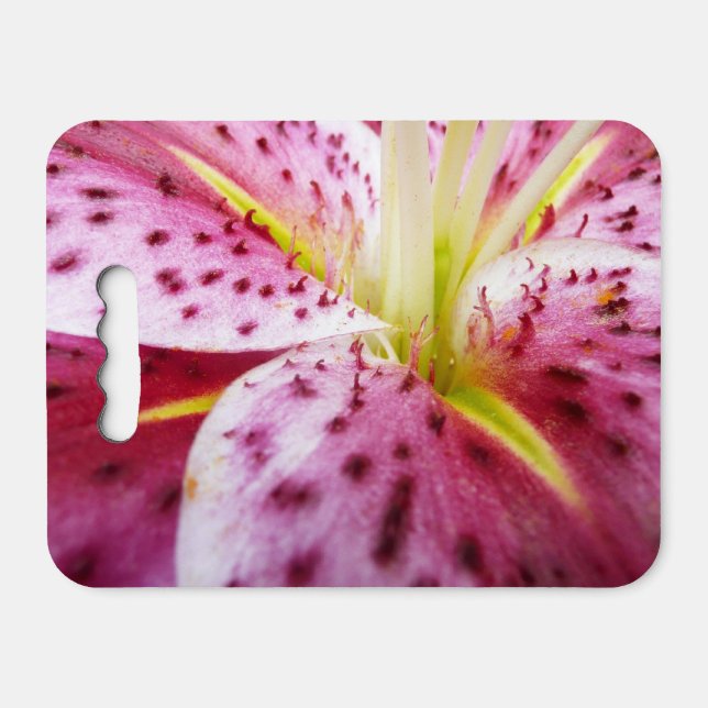 Stargazer Lily Bright Magenta Floral Seat Cushion (Front Horizontal)