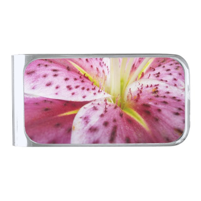 Stargazer Lily Bright Magenta Floral Silver Finish Money Clip (Front)