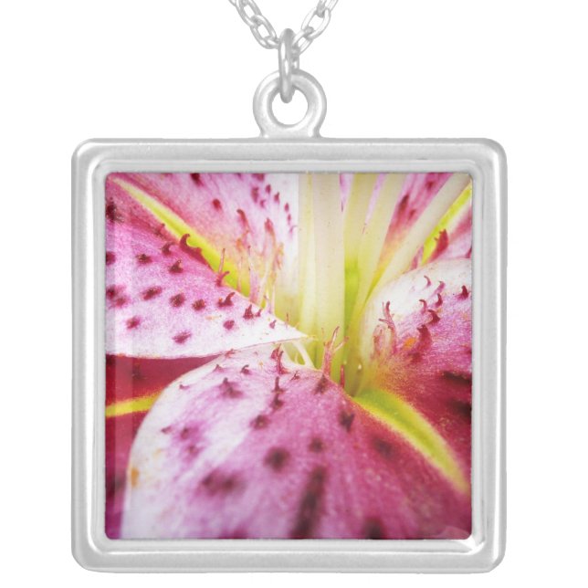 Stargazer Lily Bright Magenta Floral Silver Plated Necklace (Front)