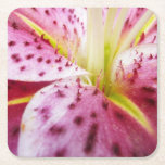 Stargazer Lily Bright Magenta Floral Square Paper Coaster
