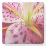Stargazer Lily Bright Magenta Floral Stone Coaster
