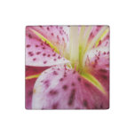 Stargazer Lily Bright Magenta Floral Stone Magnet