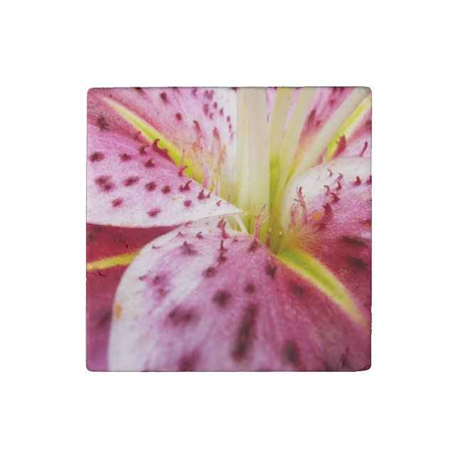 Stargazer Lily Bright Magenta Floral Stone Magnet (Front)