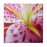 Stargazer Lily Bright Magenta Floral Tile