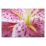 Stargazer Lily Bright Magenta Floral Tissue Paper