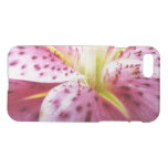 Stargazer Lily Bright Magenta Floral iPhone SE/8/7 Case