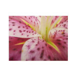 Stargazer Lily Bright Magenta Floral Wood Poster