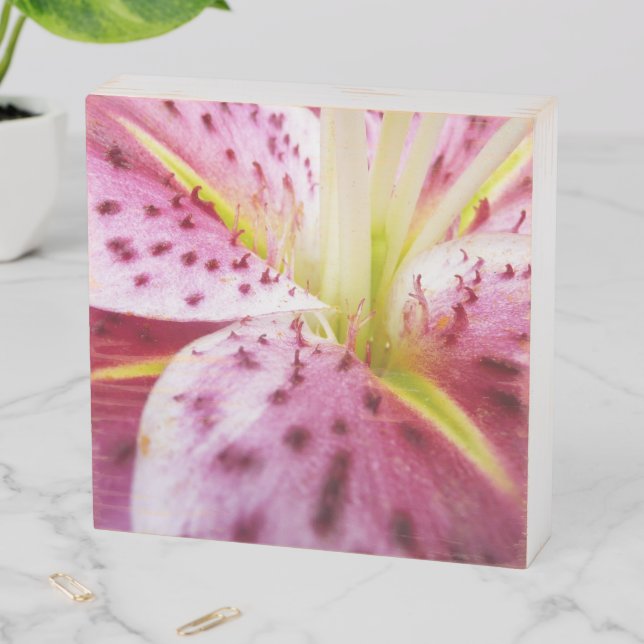Stargazer Lily Bright Magenta Floral Wooden Box Sign (In Situ Horizontal)