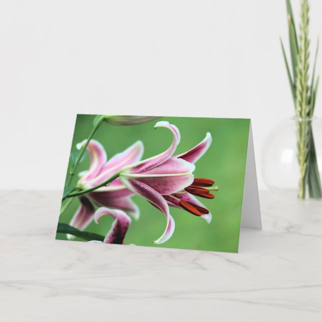 Stargazer lily card (Front)