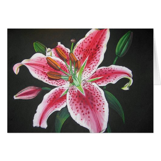 Stargazer lily cards (Front Horizontal)