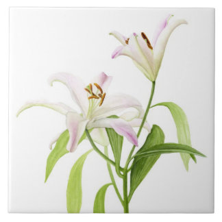 Stargazer Lily Ceramic Tile