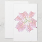 Stargazer Lily Closeup (Front/Back)