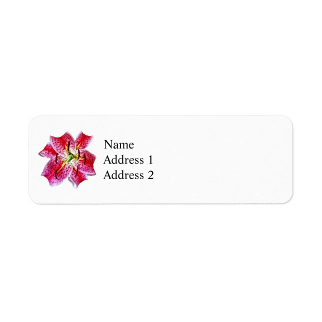 Stargazer Lily Closeup Label (Front)