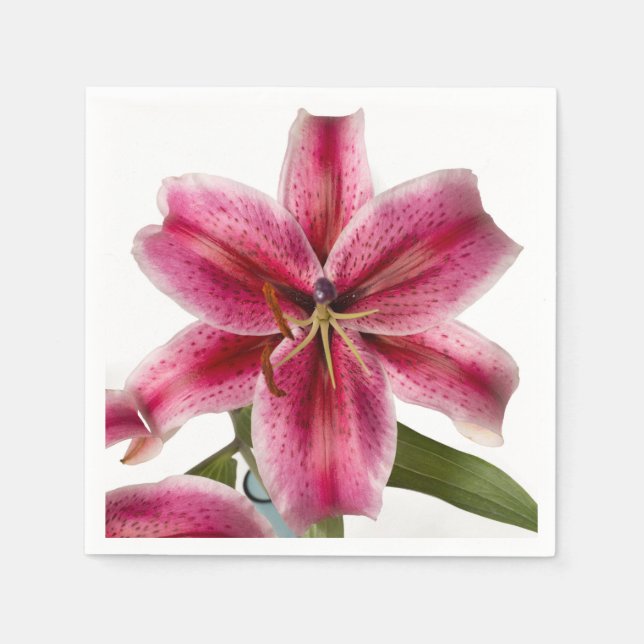 Stargazer Lily Cocktail Napkin (Front)