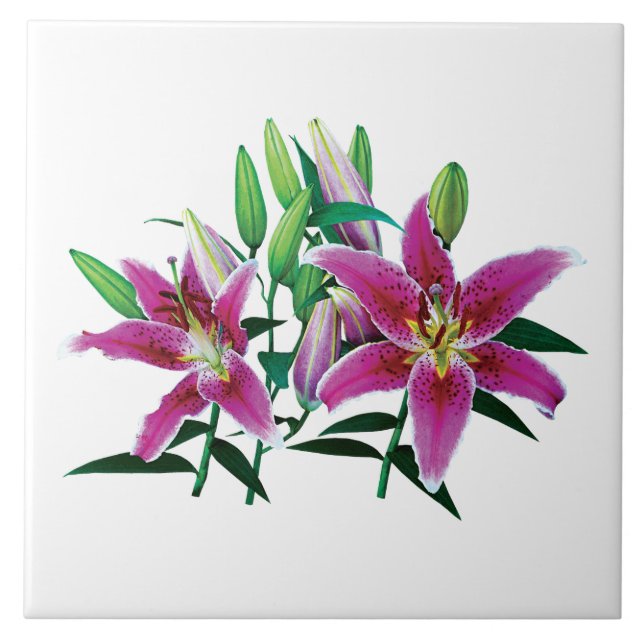 Stargazer Lily Family Ceramic Tile (Front)