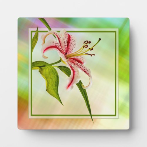 Stargazer Lily Floral Photo pink Green White Plaque
