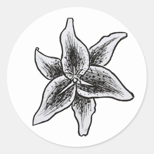 Stargazer lily flower drawing classic round sticker