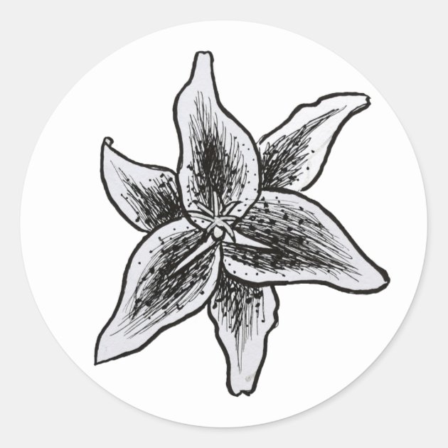Premium Vector | Lily bud line drawing line art botanical floral lily flower  head icon