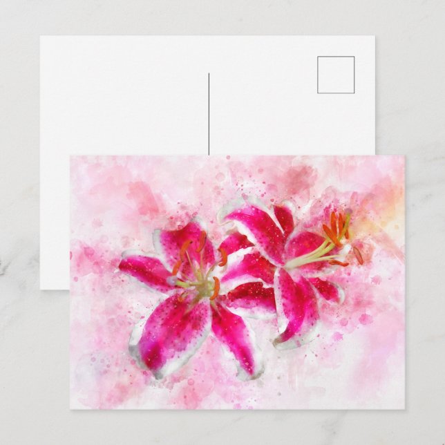 Stargazer Lily flower watercolor - wb 03 Postcard (Front/Back)