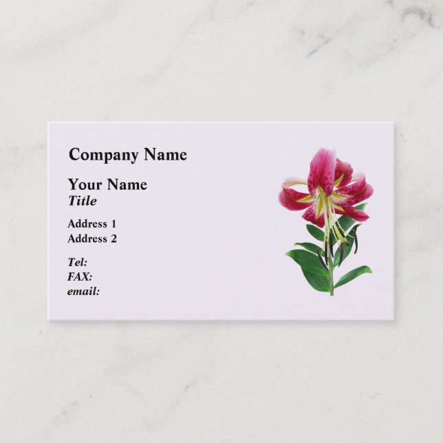 Stargazer Lily Looking Down Business Card (Front)