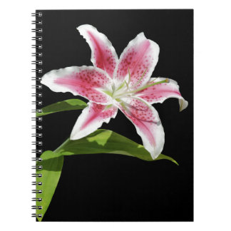 Stargazer Lily Notebook