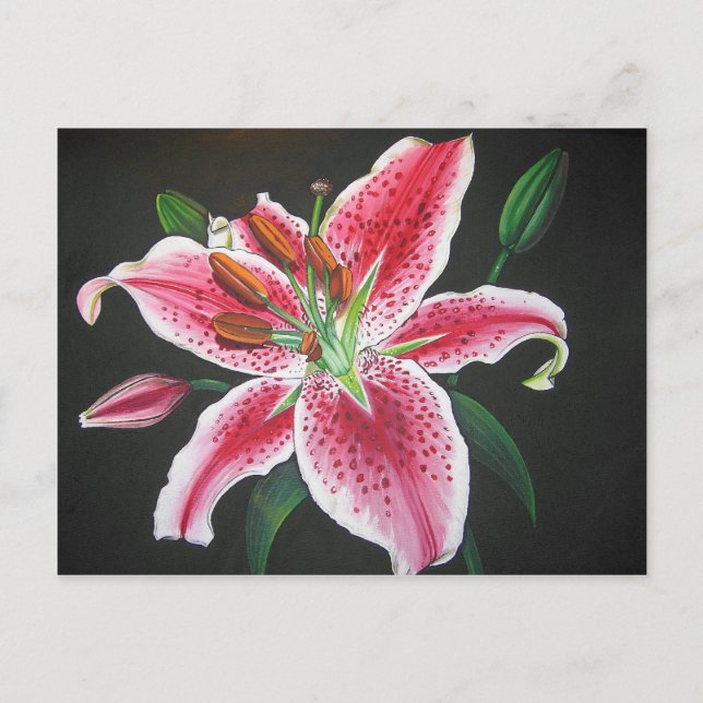 Stargazer lily postcard (Front)