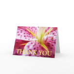 Stargazer Lily Thank You (Blank Inside) Card